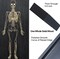 17.8'' Tall Halloween Coffin Charcuterie Boards with Engraved Skeleton Decor - Halloween Serving Trays and Platters Horror Party Decorations, Halloween Food Tray Cheese Dishes Accessories